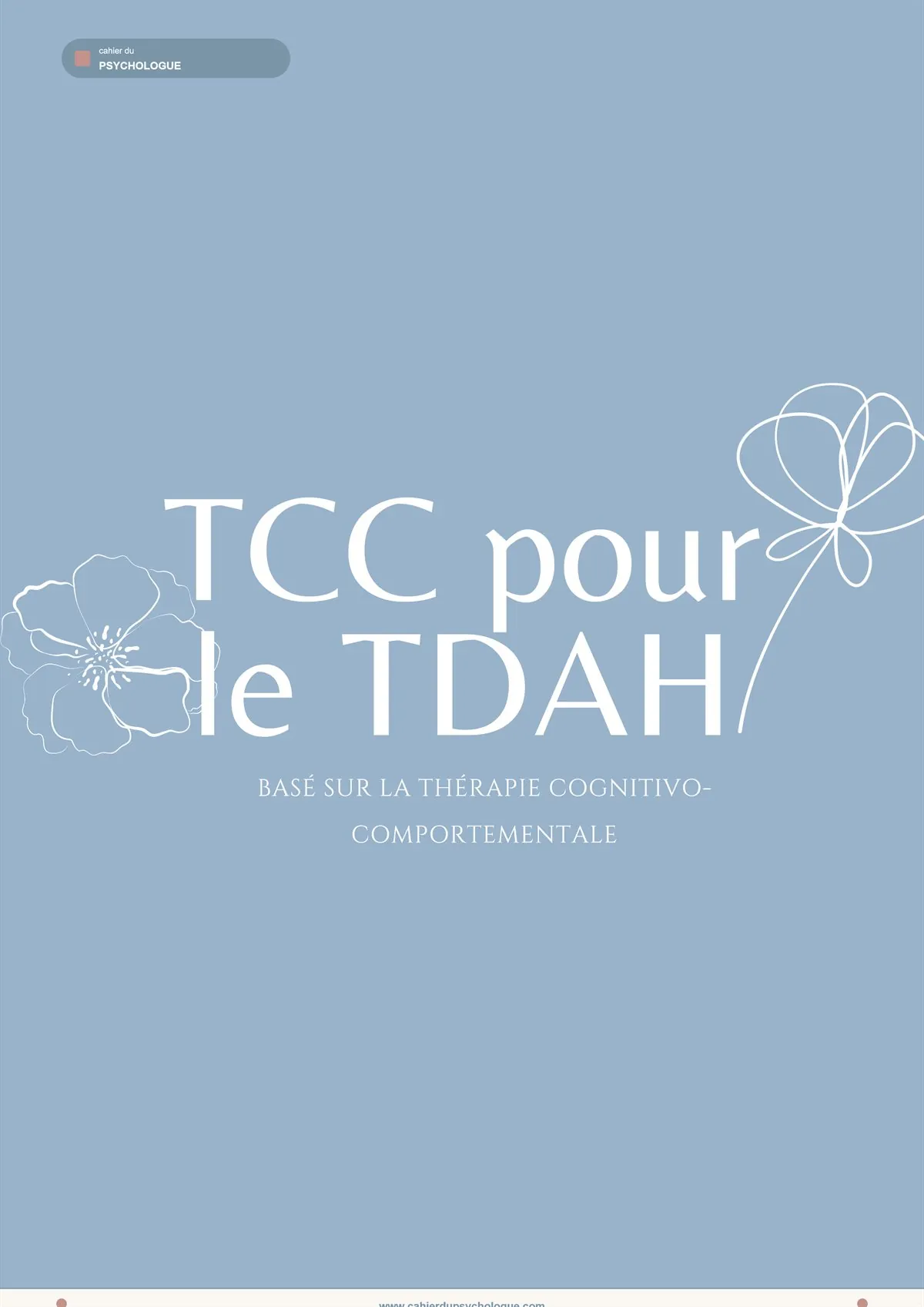 Vue d'ensemble du bundle TCC TDAH