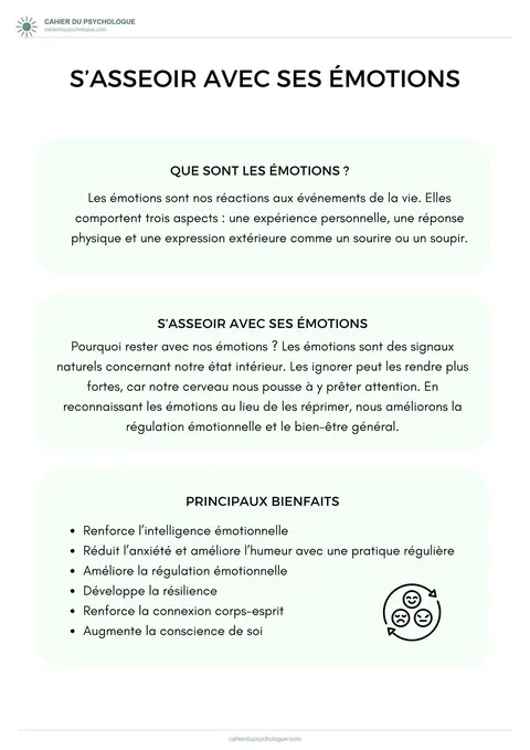Méga pack régulation émotionnelle — aperçu du cahier PDF